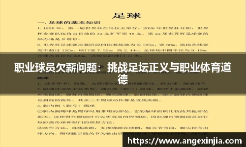 职业球员欠薪问题：挑战足坛正义与职业体育道德